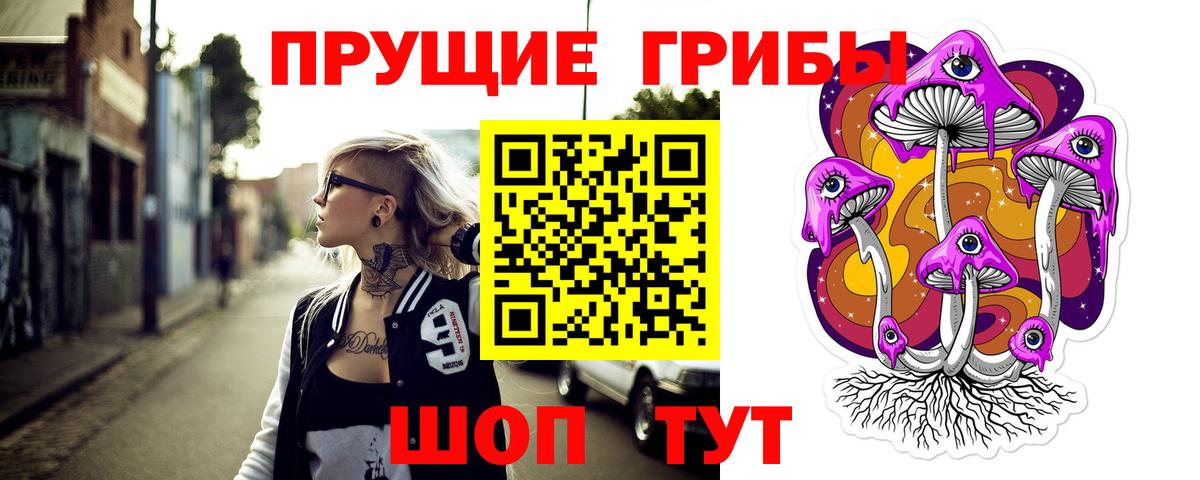 купить   Вход с VPN  Кандалакша  Галлюциногенные грибы GOLDEN TEACHER  Псилоцибиновые грибы прущие грибы 